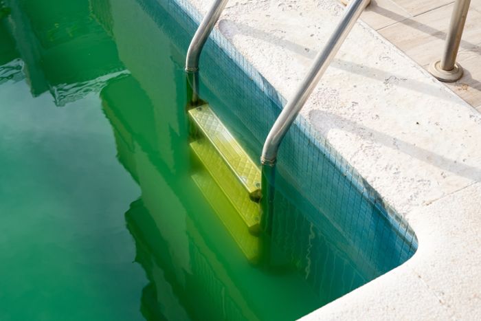 Algen im Pool trüben Anblick und Badespaß. Erfahren Sie, wie Sie beim Entfernen von Algen im Pool vorgehen sollten.