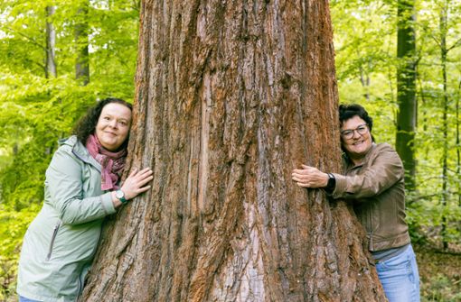 Mein Freund, der (Mammut-)Baum: Barbara Dürrwang (li.) und Doris Leddin haben sich den Waldbadpfad ausgedacht. Foto: Stefanie Schlecht