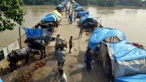 Im nordindischen Bundesstaat Uttar Pradesh retten Bauern ihre Rinder auf eine Brücke. Foto: AP