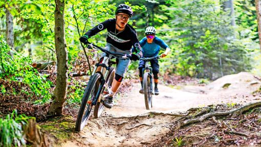 Zwei legale Trails für Mountainbiker sollen künftig durch den Wald bei Stetten führen. Foto: dpa/Philipp von Ditfurth