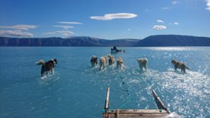 Grönlands Meereis steht unter Wasser Foto: Danmarks Meteorologiske Institut/dpa