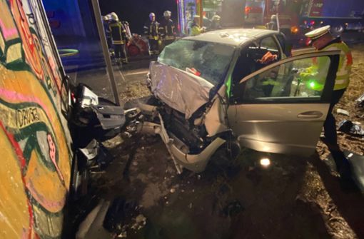 Der Autofahrer überlebte den schweren Unfall nicht. Foto: 7aktuell.de/Moritz Bassermann