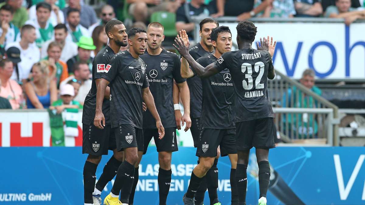 VfB Stuttgart: Stärken und Schwächen – der VfB-Kader im Check