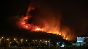 Rund um den Globus wüten noch immer Waldbrände. Foto: dpa/Lefteris Partsalis