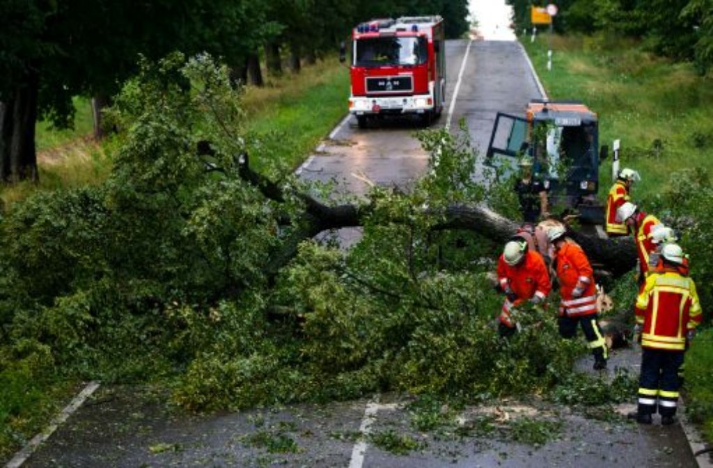 Die Feuerwehr zersägt in Kornwestheim einen umgestürzten Baum.