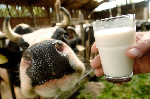 Der Milchpreis fällt und fällt – daran ist nicht nur der Wegfall der Milchquote schuld. Der Druck auf die kleinen Höfe wächst weiter. Foto: dpa