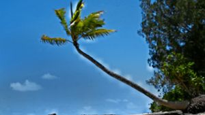 Am weitesten entfernt ging vom Autor eine Flaschenpost vor Nuku Island im Königreich Tonga im Südpazifik ins Wasser, aufgegeben am 12. 12. 2012. Foto:  