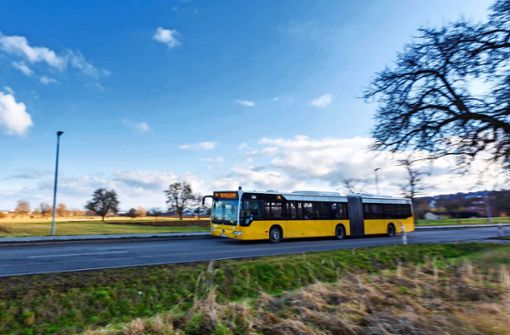 Drei Monate lang sollen Fahrgäste für jeweils neun Euro im Monat mit Bus und Bahn unterwegs sein können, so die Pläne der  Bundesregierung. Foto: Thomas Krämer
