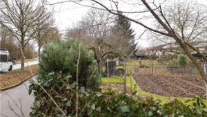 Derzeit wird das Grundstück in Weilimdorf, auf dem ein kleines Pflegeheim entstehen soll, noch als Gartengelände genutzt. Foto: Lichtgut/Max Kovalenko
