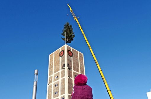 Nun kann’s Weihnachten werden: Der Baum ist auf dem Turm. Foto: Werner Waldner