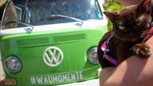 Hunde-Selfies im Stuttgarter Biergarten