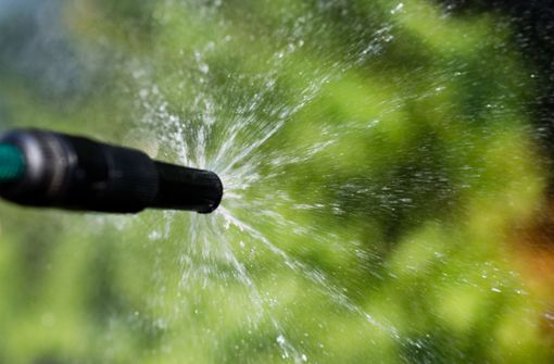 Wasser wird in Zeiten von Sommer und Hitze ein besonders wertvolles Gut. Foto: dpa