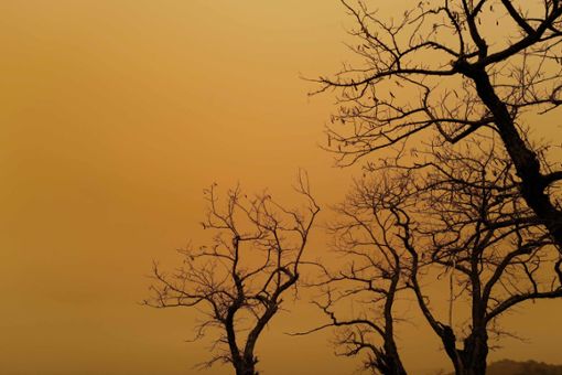 Aufgrund von Saharastaub leuchtet der Himmel teilweise gelb. Foto: Sebastien Bozon/AFP/dpa