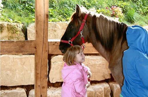 Zunächst beschnuppern sich Kinder und Pferde vorsichtig Foto: Anna-Lena Kümpel