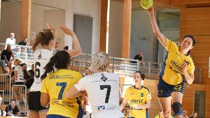In Baden-Württemberg wird künftig unter dem Dach eines Verbandes Handball gespielt – es ist der mit Abstand größte in Deutschland. Foto: Guenter E. Bergmann - Photography