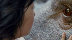 „Okja“ startet bei Netflix