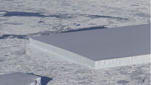 Forscher entdecken quadratischen Eisberg