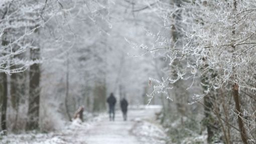 Wo liegt gerade Schnee in Baden-Württemberg? (Symbolbild) Foto: Marijan Murat/dpa/Marijan Murat