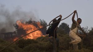 In Griechenland kämpfen die Rettungskräfte gegen die Waldbrände. Foto: dpa