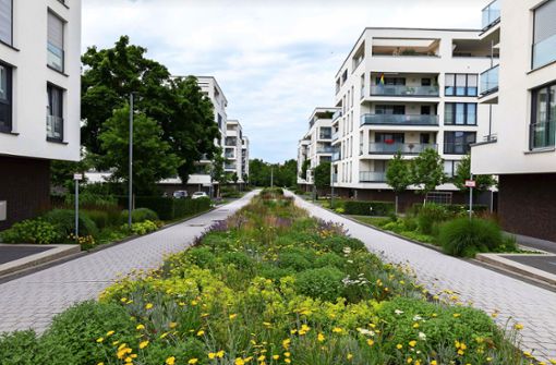 Der Stadtgarten in der Nähe des Baumovals: Siedlungen wie diese haben aus architektonischer Sicht Modellcharakter. Foto: Eibner/Roger Bür/e