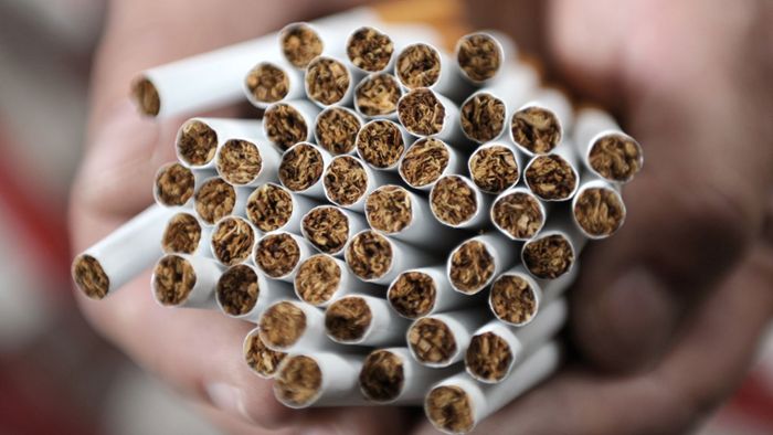 Zollfahnder heben illegale Tabakfabrik aus