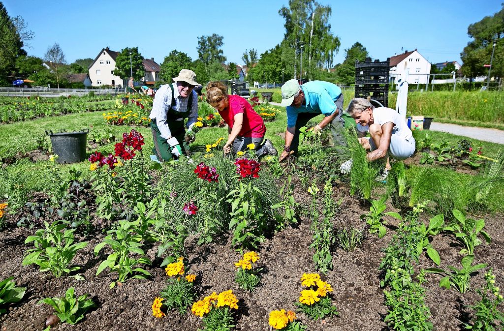 Viele helfende Hände haben  im Landschaftspark Töbele einmal mehr  zu tun. Foto: Horst Rudel