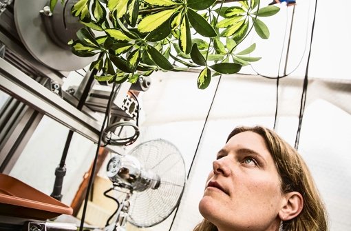 Alina Schick und ihre ungewöhnliche Pflanzenwelt. Foto: Leif Piechowski