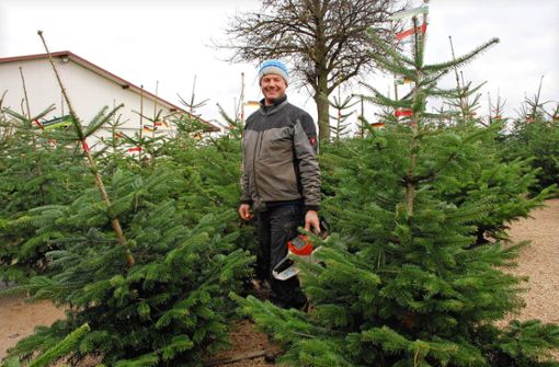 Markus Eberhardt vom Berghof in Deizisau schlägt die Bäume „täglich frisch und nur nach Bedarf und Nachfrage“. Foto: /Peter Stotz