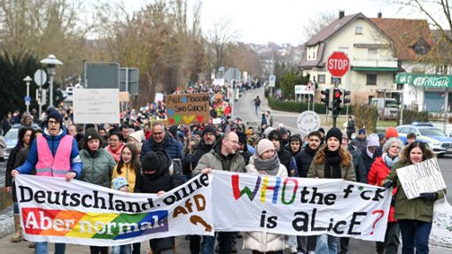 Langer und bunter Protestzug in Herrenberg Foto: Eibner-Pressefoto/Nicolas Worn