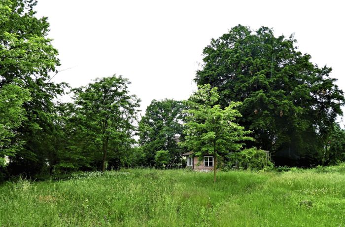 Bauprojekt in Bietigheim-Bissingen: Naturschützer prangern Zerstörung eines Parks an