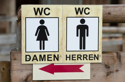 Eine Person filmte heimlich in einer Damentoilette im Bahnhof von Bietigheim-Bissingen			-		. Foto: Armin Weigel/dpa
