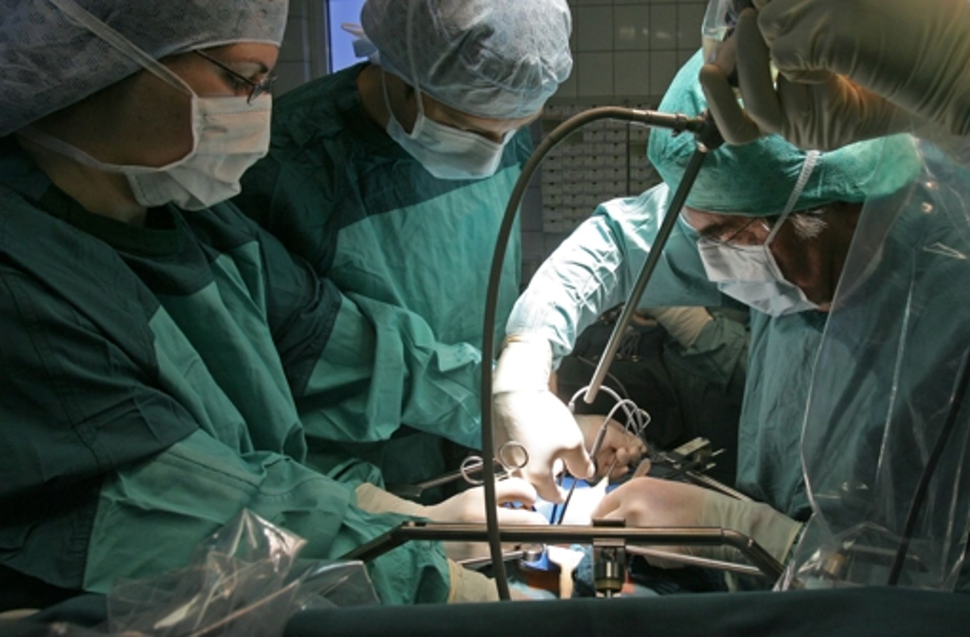 Transplantationsmedizin: Lebenswichtige Organe - Wissen