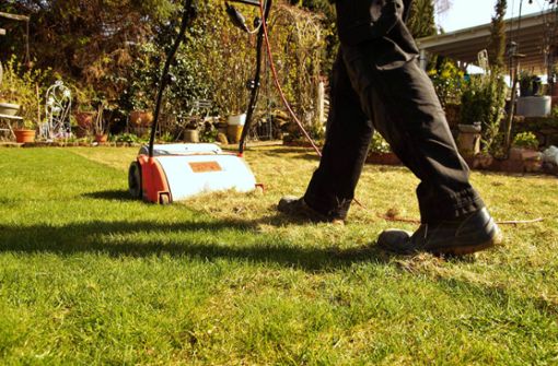 In diesem Artikel zeigen wir Ihnen die 10 wichtigsten Tipps, wie Sie Ihren Rasen schonend und effektiv vertikutieren.