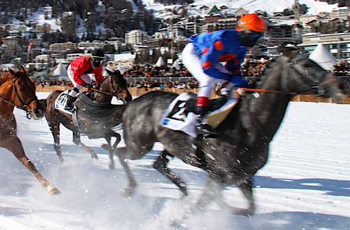 In gestrecktem Galopp über die Eispiste: Das White-Turf-Pferderennen in St. Moritz fordert Pferden und Jockeys Höchstleistungen ab.  Foto: Johannes Süss