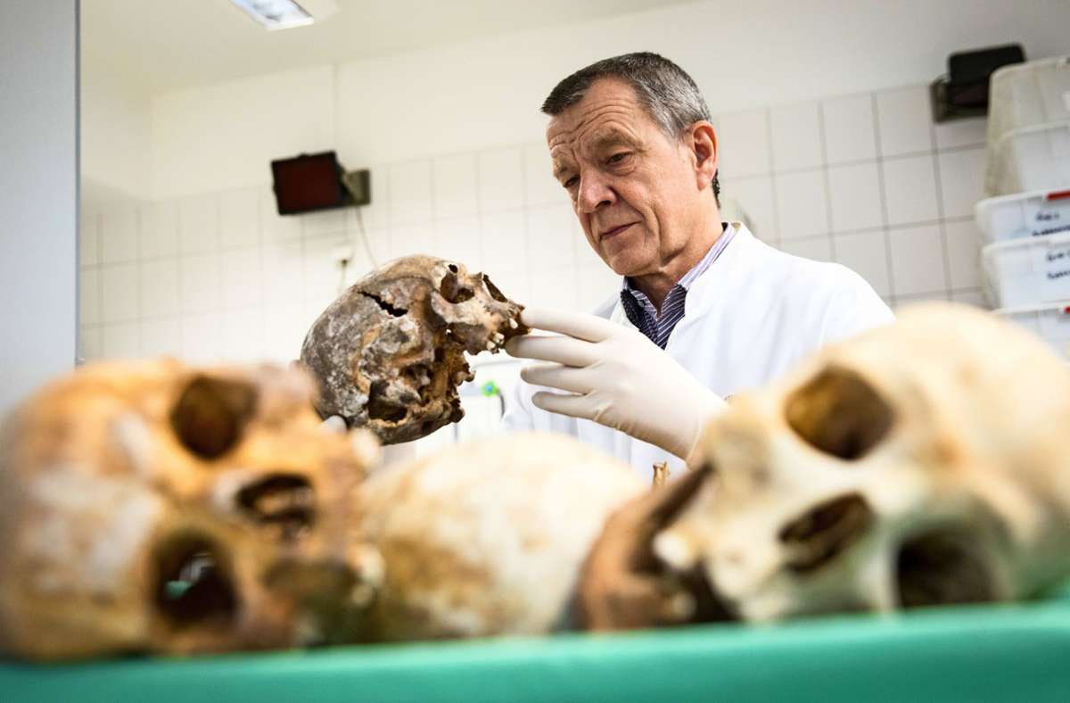 Klaus Püschel, Leiter des Instituts für Rechtsmedizin am Universitätsklinikum Hamburg-Eppendorf, betrachtet im Anthropologischen Labor des Instituts Schädel- und Knochenfunde.