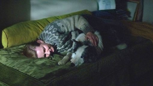 Sandra Hüller als Sandra Voyter mit Hund Messi als Blindenhund Snoop in einer Szene des für fünf Oscars nominierten Films  Anatomie eines Falls. Foto: -/LesFilmsPelleas/LesFilmsDePierre/dpa