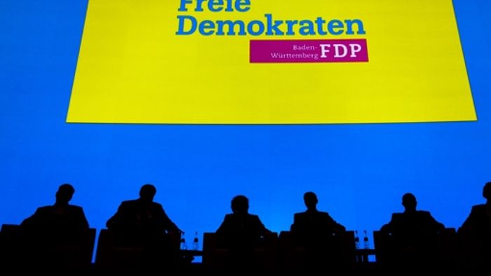 FDP drängt auf Gesetz zur Zuwanderung
