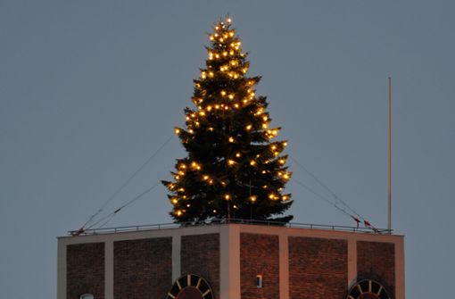 Der Weihnachtsbaum wird mit LED-Lampen beleuchtet. Foto: Horst Dömötör (Archiv)