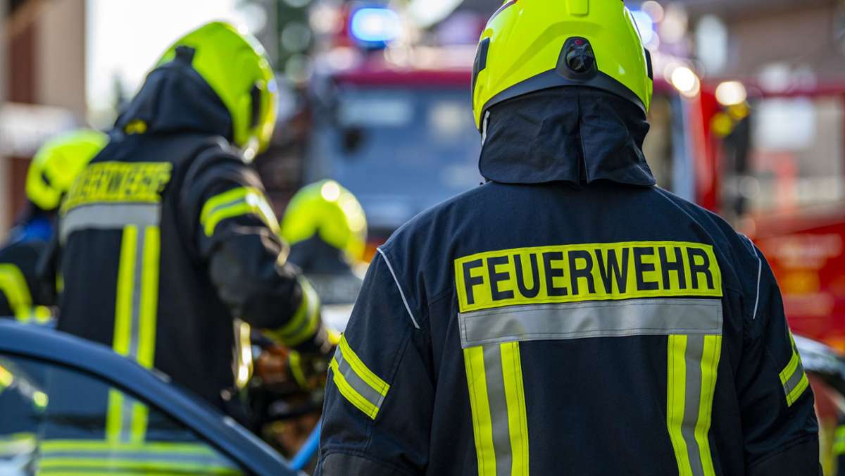 Heimsheim: Feuerwehr rettet angefahrene Katze aus einem Schacht
