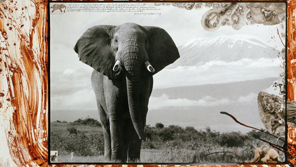 Tierfotograf Peter Beard tot: Fotocollagenkunst zwischen Natur, Erotik und Pop-Art