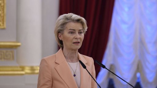 Ursula von der Leyen strebt eine zweite Amtszeit als Kommissionspräsidentin  an. (Archivbild) Foto: IMAGO/APAimages/IMAGO/PRESIDENT OF UKRAINE  apaimages