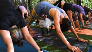Ziegen-Yoga ist nur eine der absonderlichen Varianten, die in der Yoga-Szene praktiziert werden. Foto: AFP