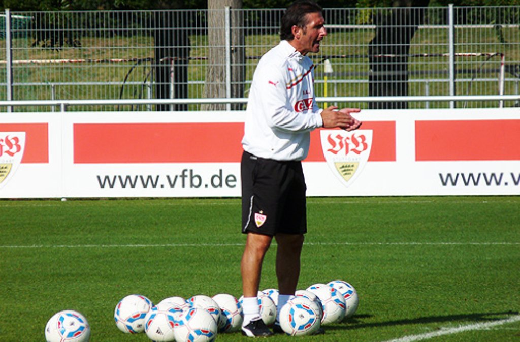 Klicken Sie sich durch die Bilder vom VfB-Training.