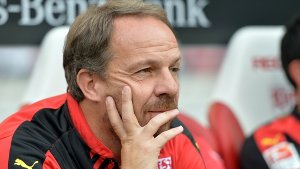 Der neue VfB-Coach muss Ordnung schaffen