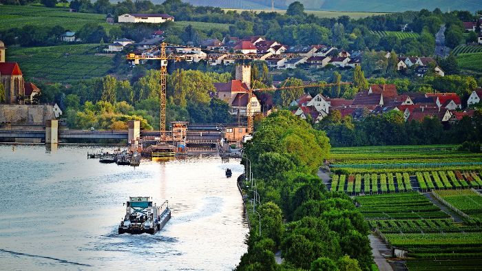 Der Neckar als Straße für  Castoren