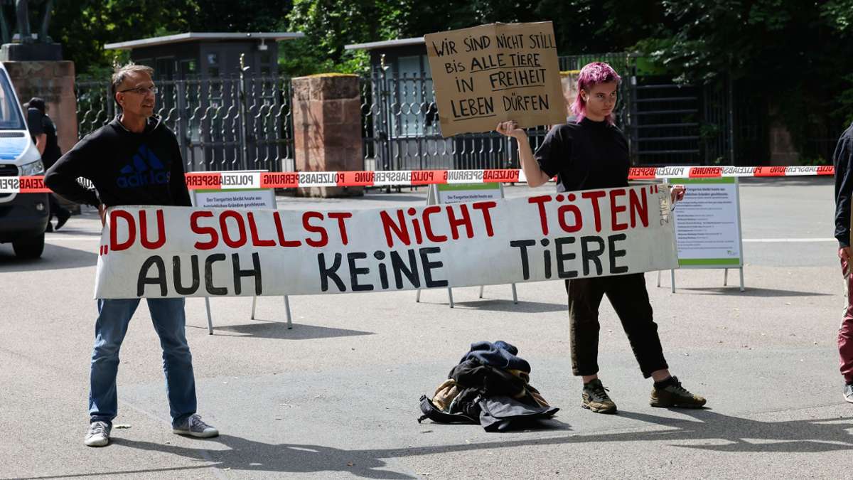 Nuremberg - After baboon killing: animal rights activists build protest ...
