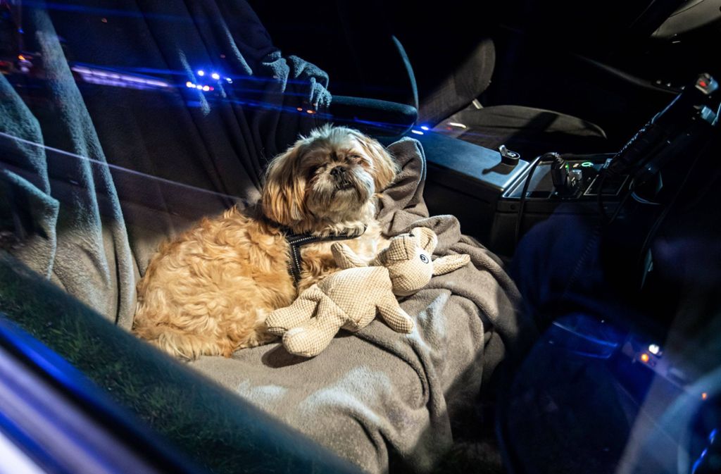 Die Frau hatte in ihrem Opel außerdem einen Hund dabei. Das Tier überstand den Unfall ohne Verletzungen.