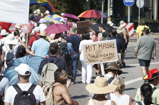 Am 8.8.2020 hat die Initiative „Querdenken-711“ im Unteren Schlossgarten eine Kundgebung abgehalten. Foto: Lichtgut/Julian Rettig