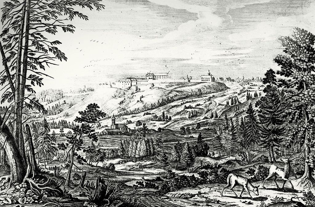 Von wegen finstrer Tann: Der Wald des 18. Jahrhunderts hatte wenig Ähnlichkeit mit dem Wald heute. Die Übernutzung war ein großes Problem.