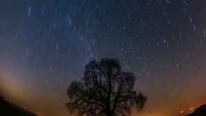 Der Sternenhimmel aufgenommen in einer Langzeitbelichtung. Foto: dpa-Zentralbild